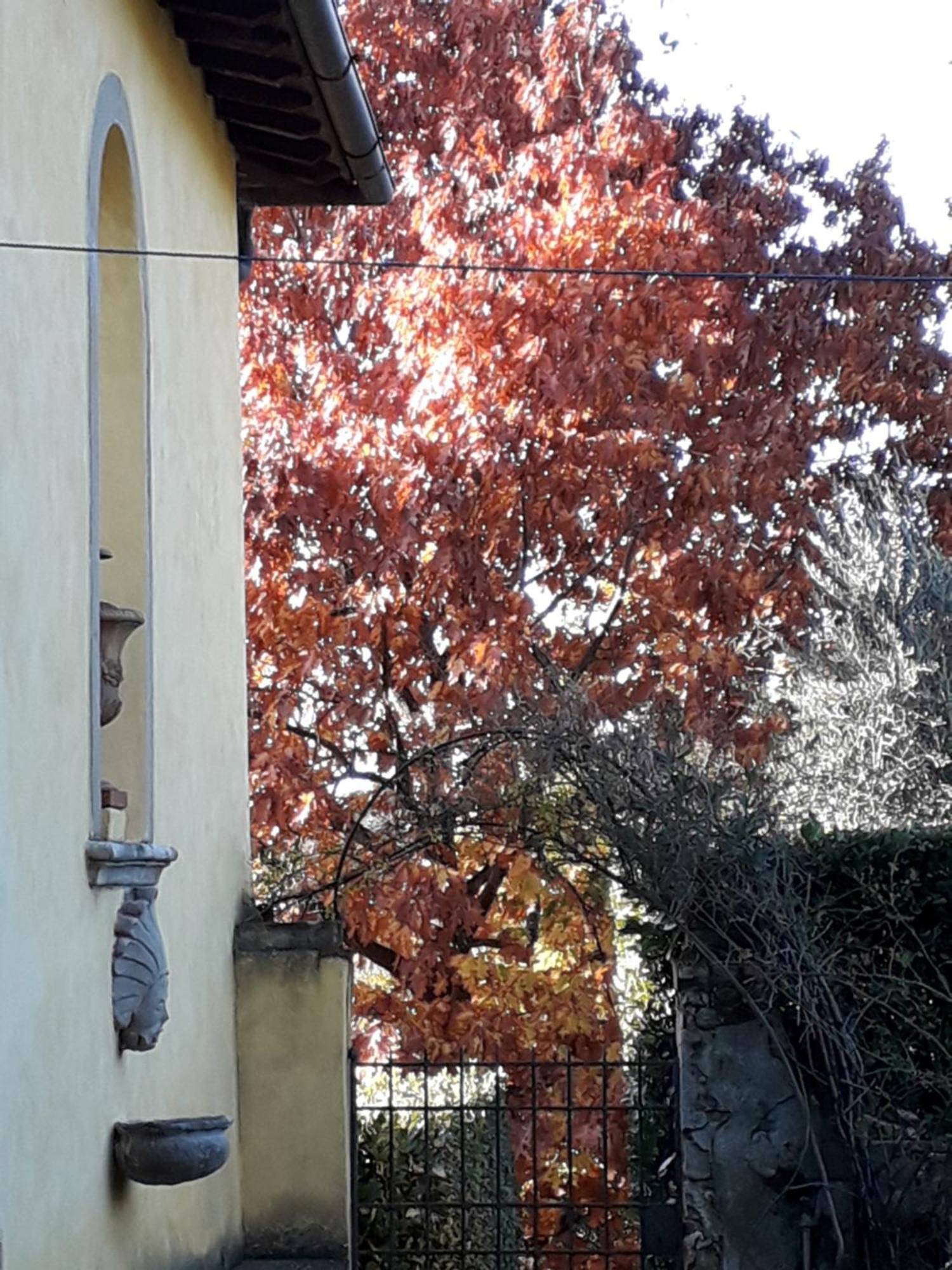 Villa Le Pergole- Firenze Exterior foto